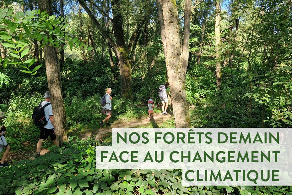 Nos forêts demain face au changement climatique